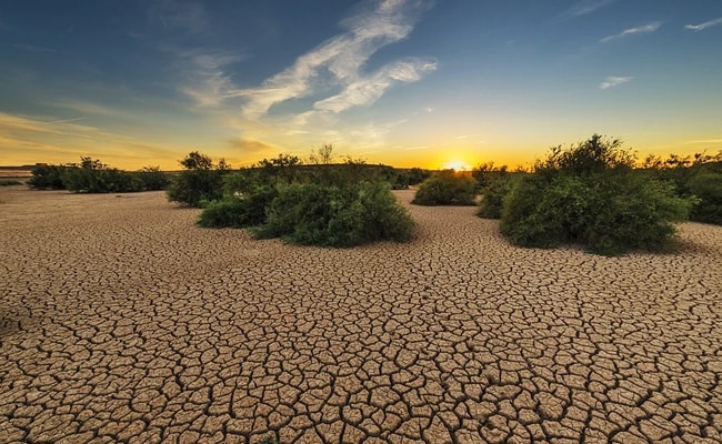 Karnataka Seeks Rs 17,901 Crore Drought Relief Funds From Centre