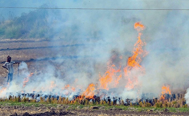 Significant Drop In Farm Fires In Punjab, Haryana This Year: Centre’s Panel