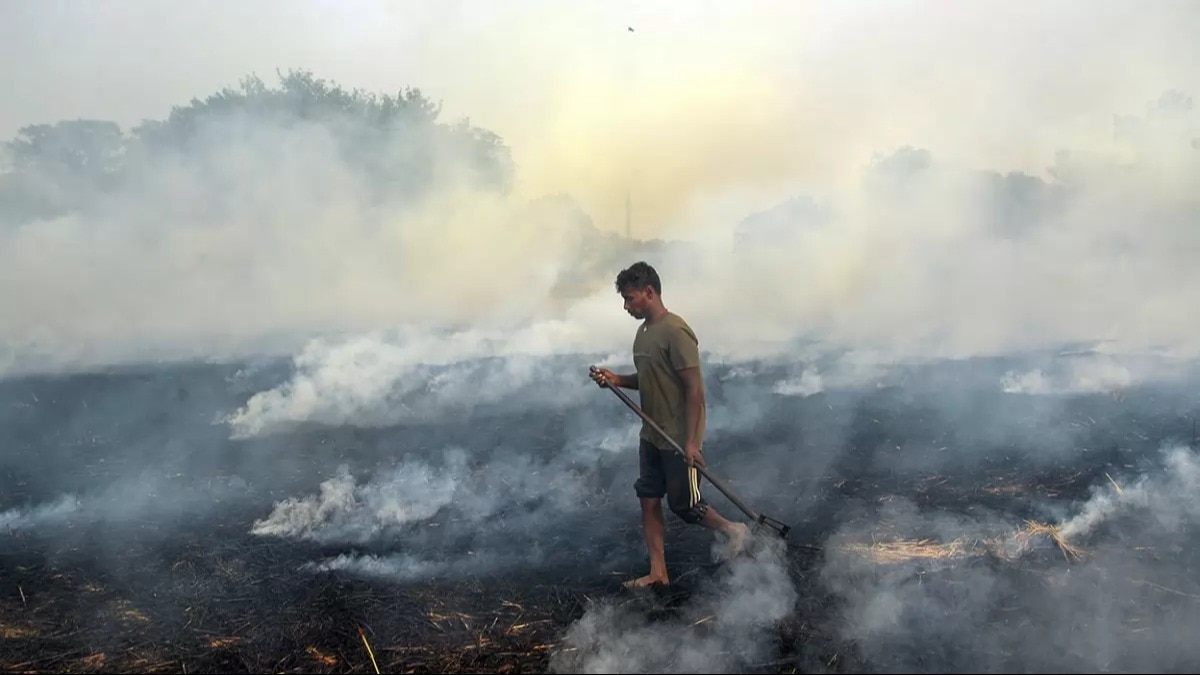 Punjab battles crop burning amid Delhi-NCR’s air quality concerns