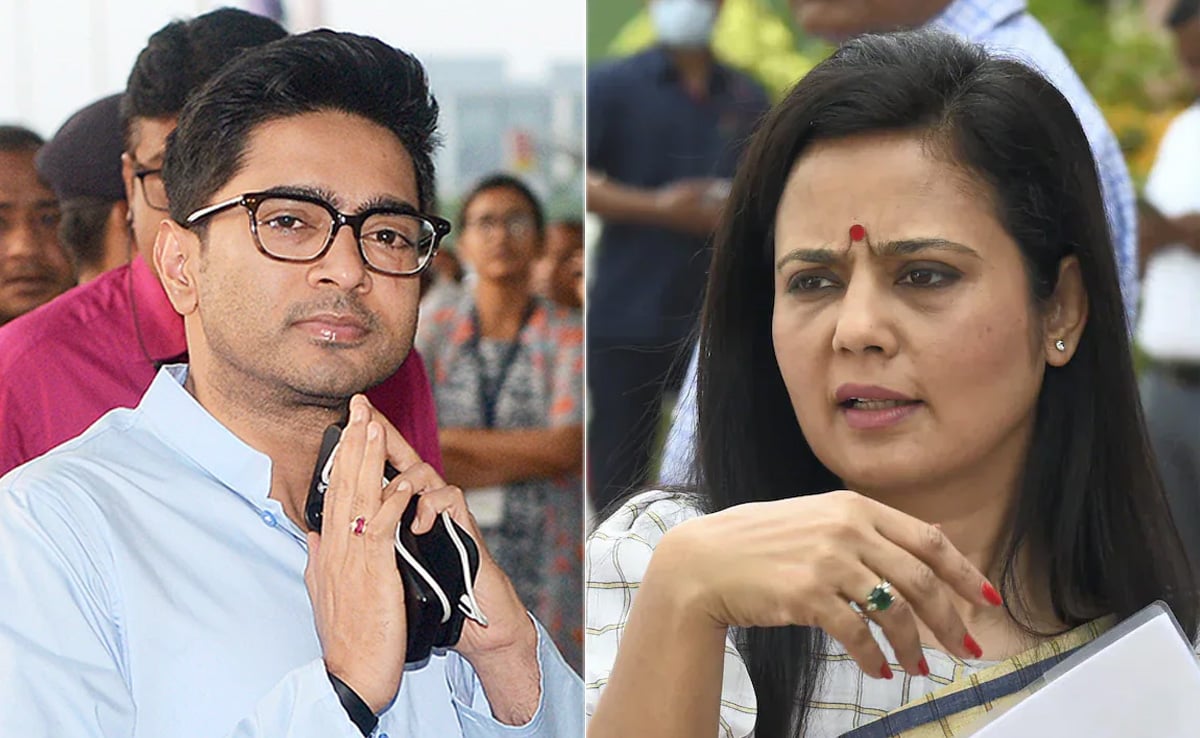 Mahua Moitra Victim Of Politics, Can Fight On Her Own: Abhishek Banerjee