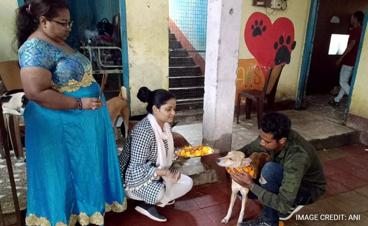 This West Bengal City Worships Dogs, Celebrates “Kukur Tihar” Festival