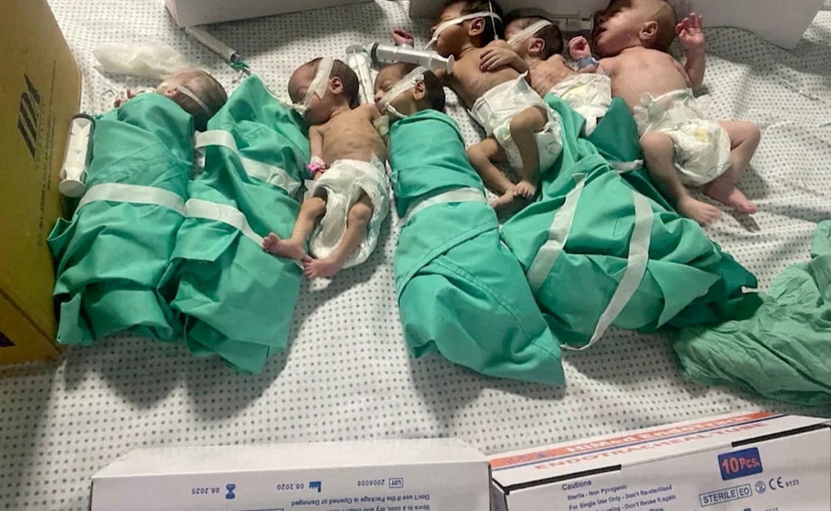 Gaza Babies Laid In Rows For Warmth; “I Had 39, Now 36 Left”, Says Doctor