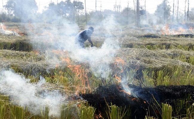 Over 1,700 Farm Fires Recorded In Punjab, Air Turns ‘Very Poor’ In Haryana
