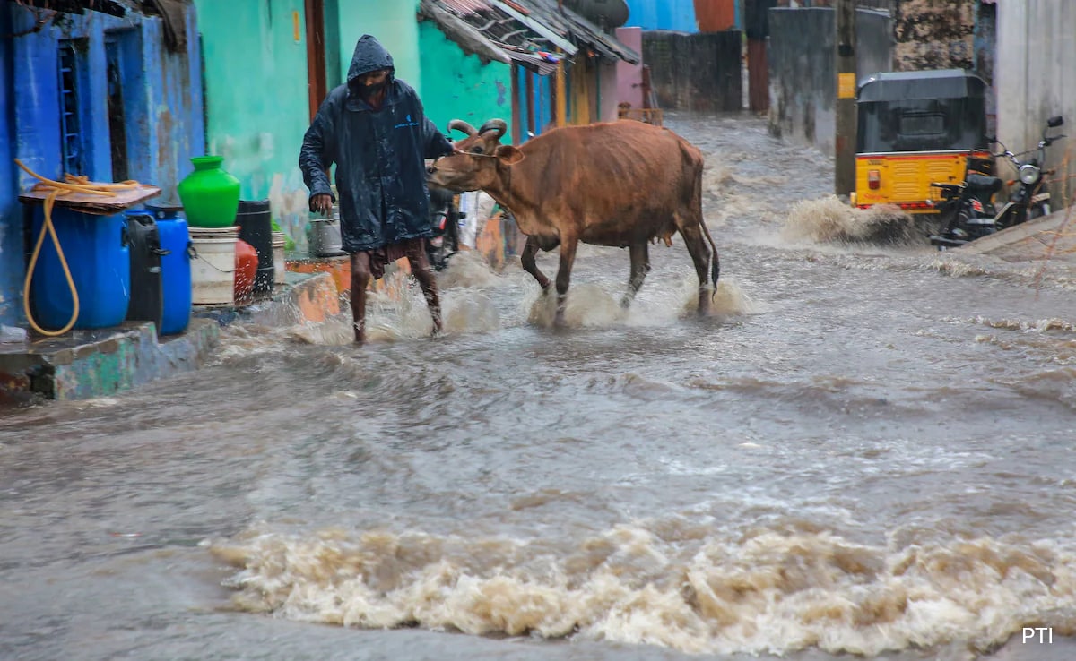 Trains, Flights Hit After Heavy Rain In Tamil Nadu, More Showers Predicted
