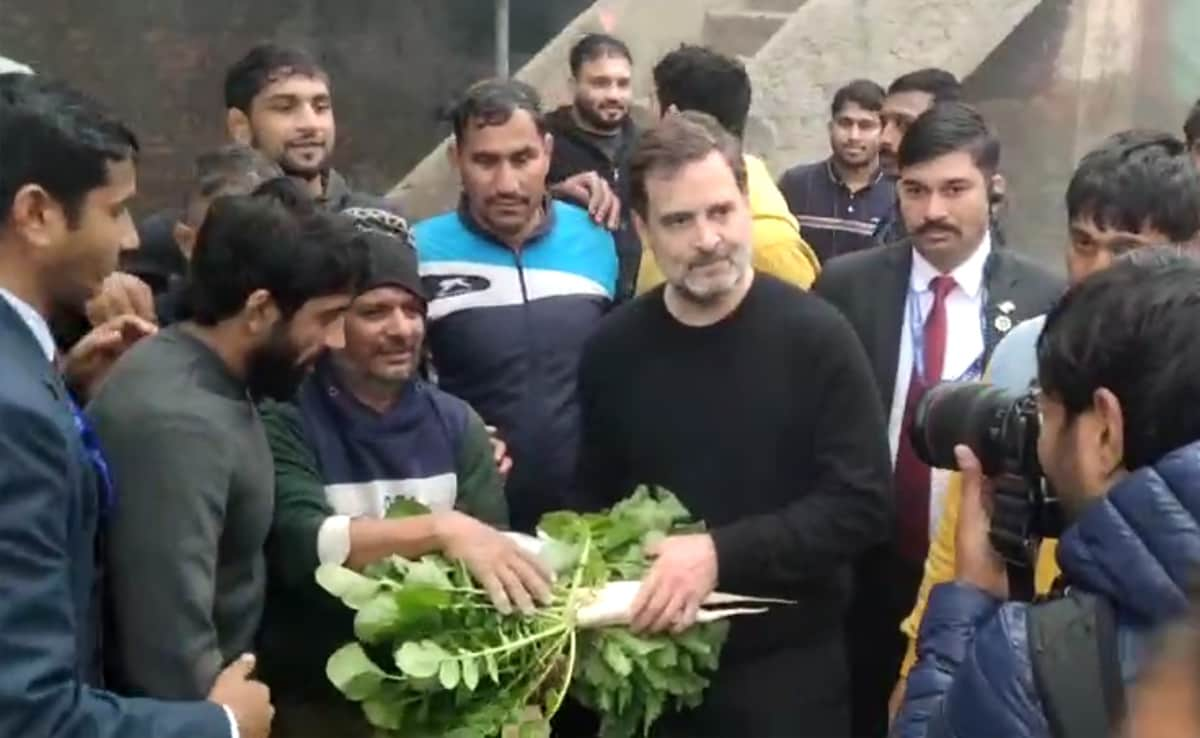 Jiu-Jitsu, Workout, Bajre Ki Roti: Rahul Gandhi Meets Protesting Wrestlers