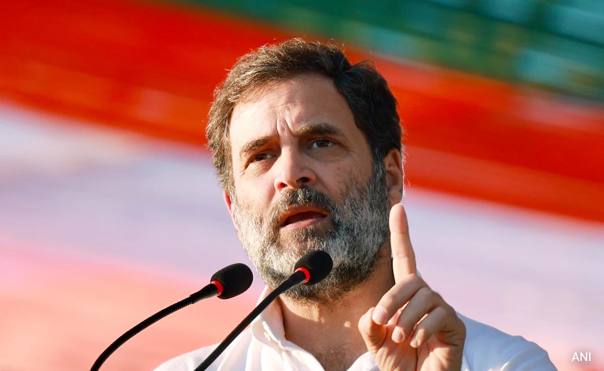 “He Lives In La-La World”: BJP On Rahul Gandhi’s Ram Temple Remark