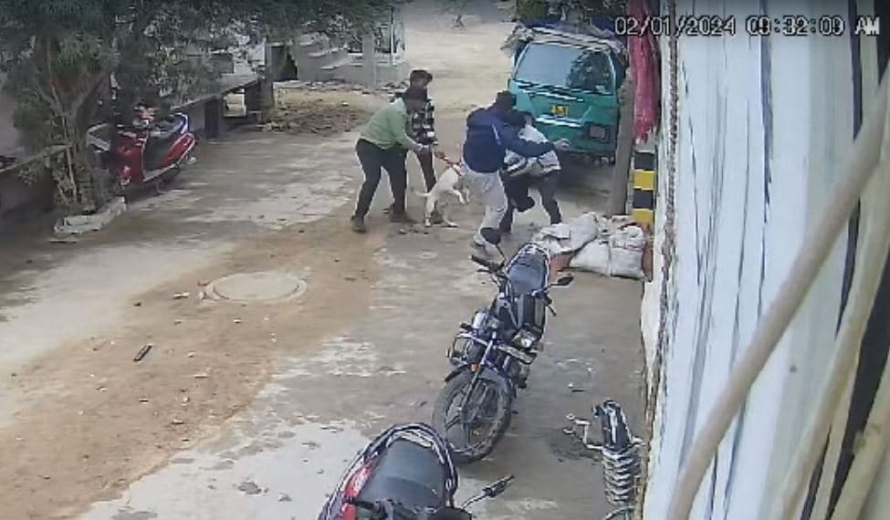 On CCTV, Pit Bull Grabs Baby From Grandfather’s Lap, Bites Her
