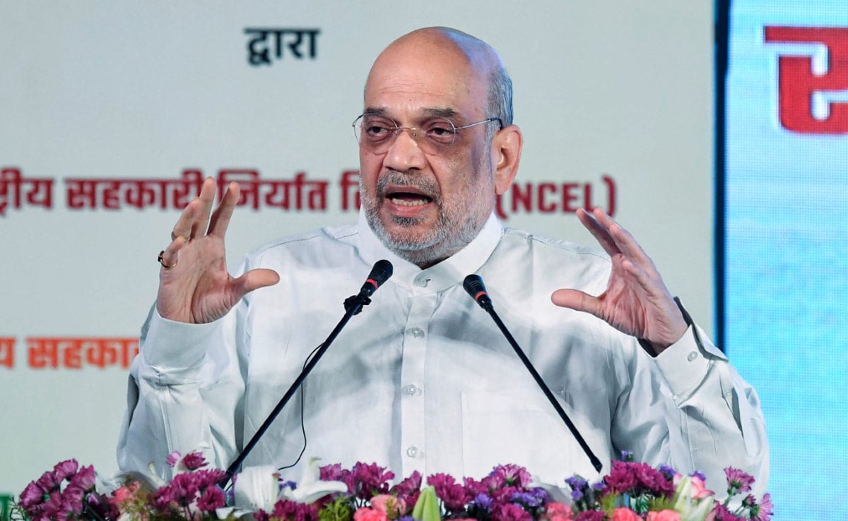 Seeking Citizenship Under CAA, But No Documents? Amit Shah’s Reply