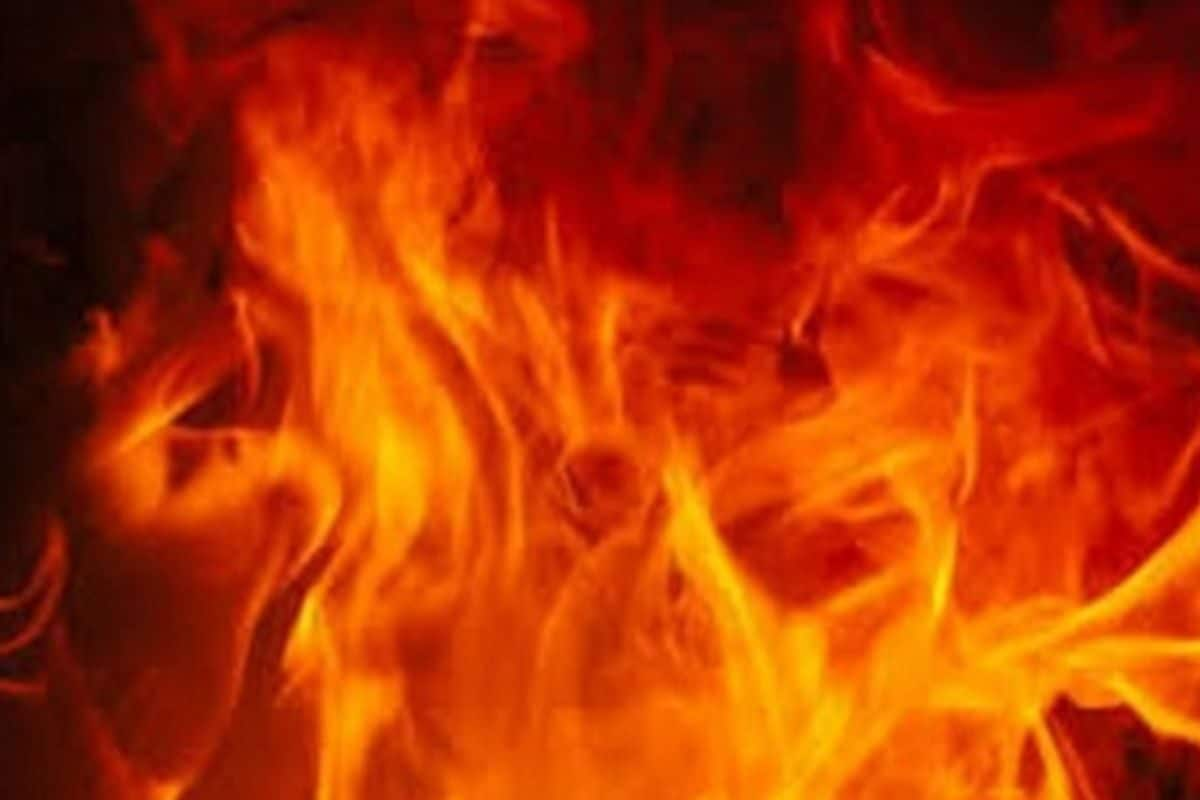 Fire Breaks Out in Forest Near Bengaluru IT Park