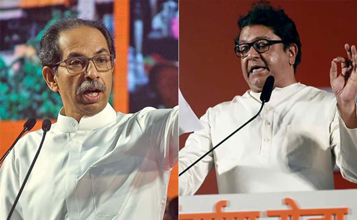 To Counter Uddhav Thackeray Factor, BJP’s Pick Is His Estranged Cousin Raj