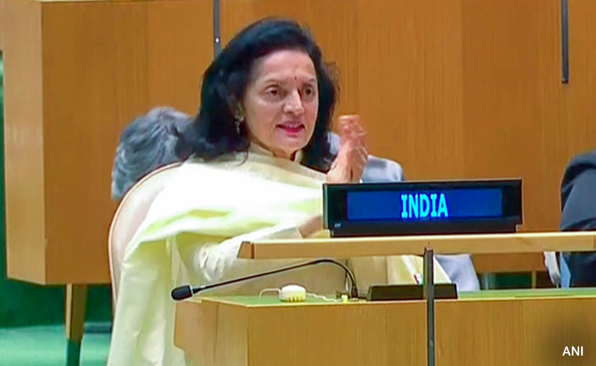 “Risk Oblivion If…”: India’s Stark Warning To UN Security Council