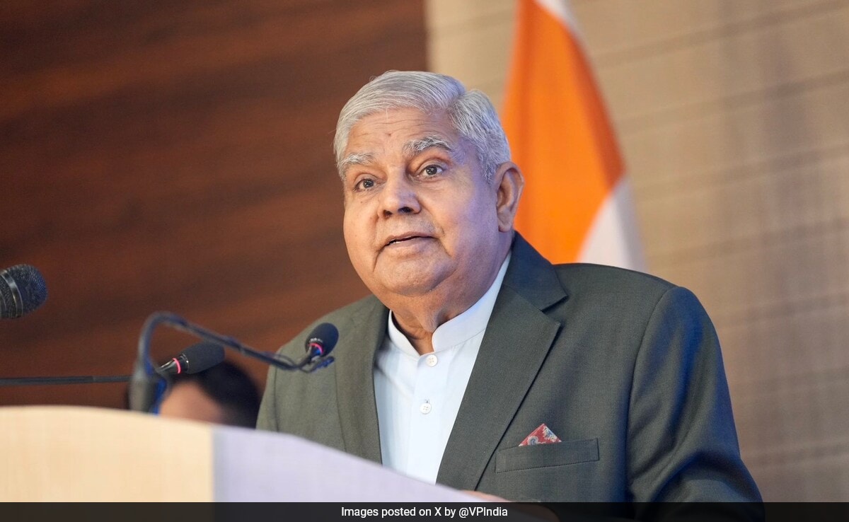 After US, Germany, UN Comment On Arvind Kejriwal, Vice President’s Rejoinder