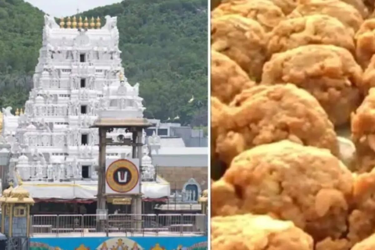 All About The Famous Laadus Prasadam At Tirumala’s Sri Venkateswara Swamy Temple