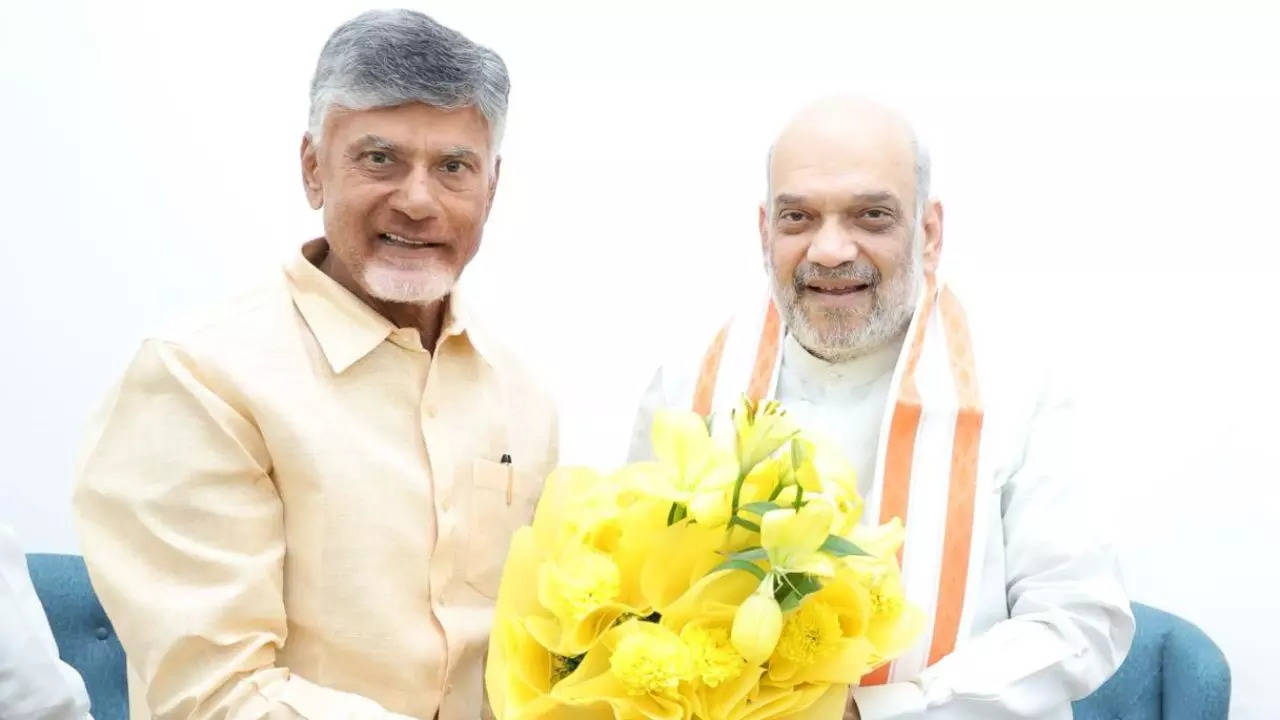 ‘Win-win situation’: BJP, TDP & Jana Sena reach seat-sharing deal in Andhra ahead of LS polls