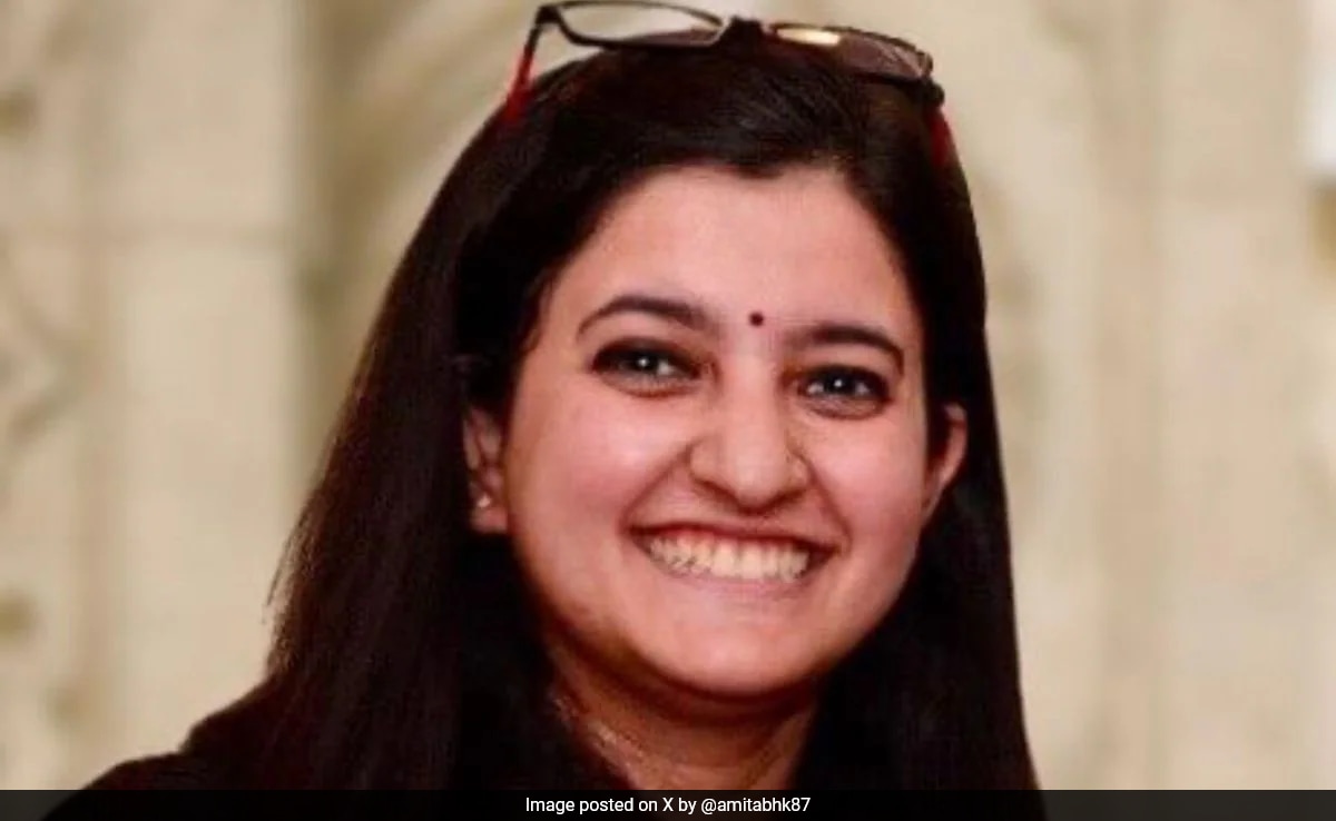Ex-NITI Aayog Employee, Pursuing PhD In London, Dies In Freak Accident