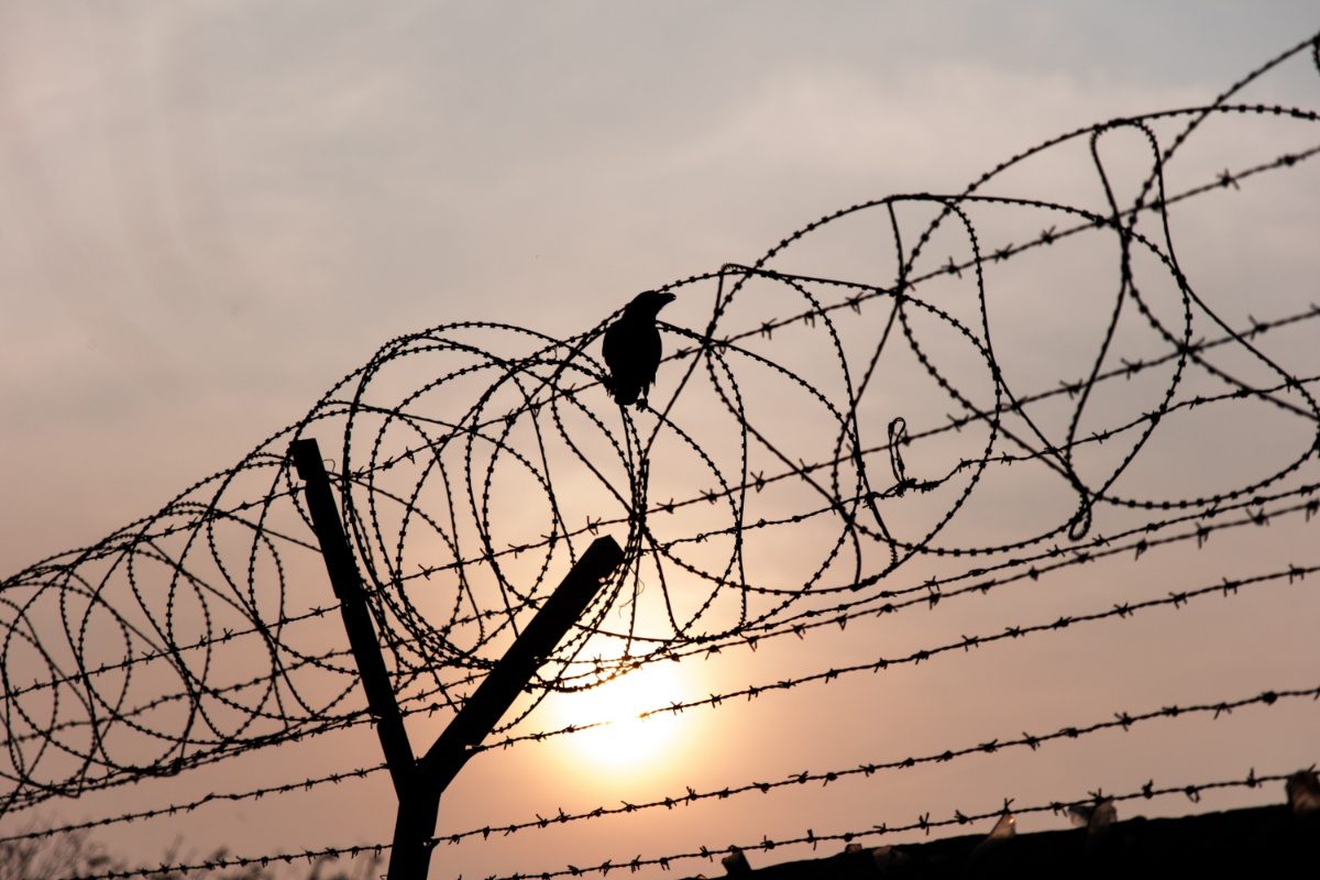 Andhra Pradesh: 13 Children Electrocuted in Ugadi Procession, No Fatalities