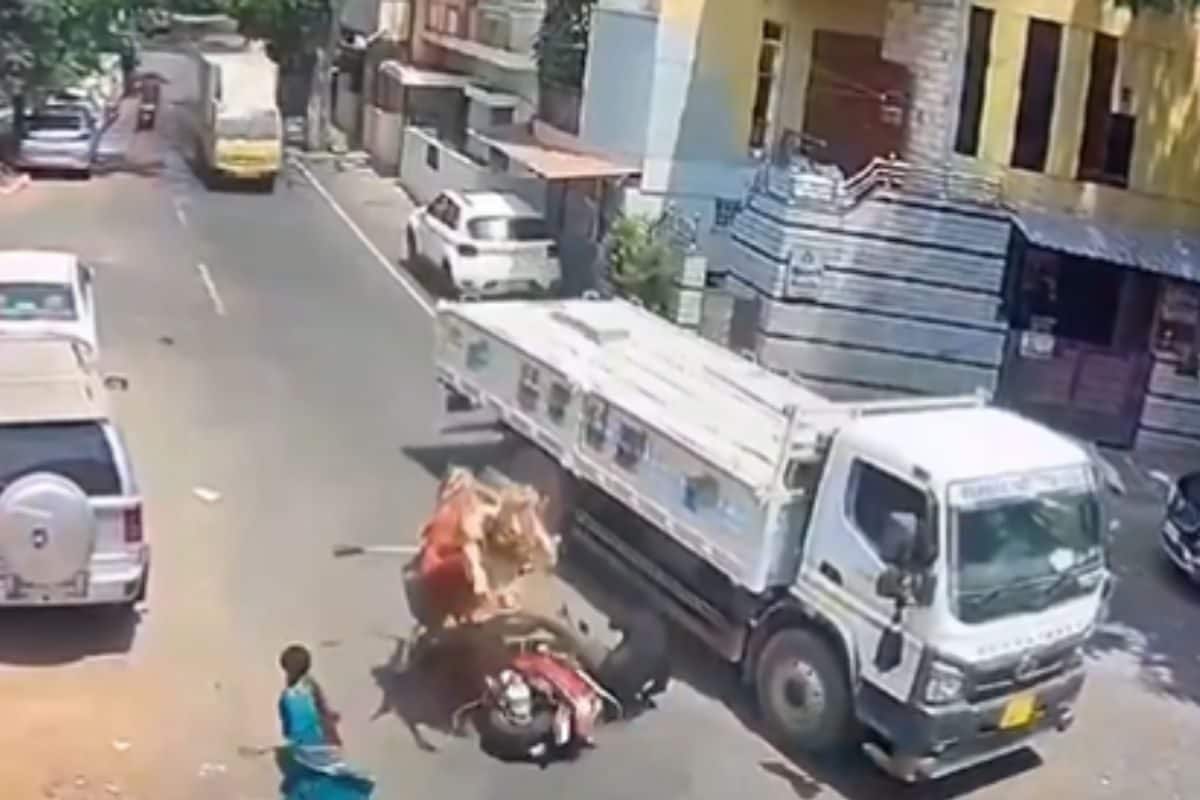 Bengaluru Biker Narrowly Escapes Truck Wheels After Bull Jumps On Him; Video Goes Viral