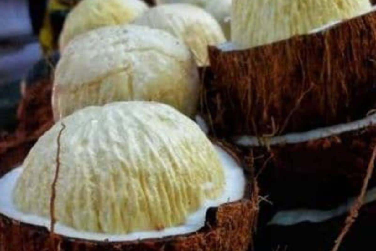 Coconut Flower Sales Witness Surge In Tamil Nadu’s Viluppuram; A Look At Its Health Benefits