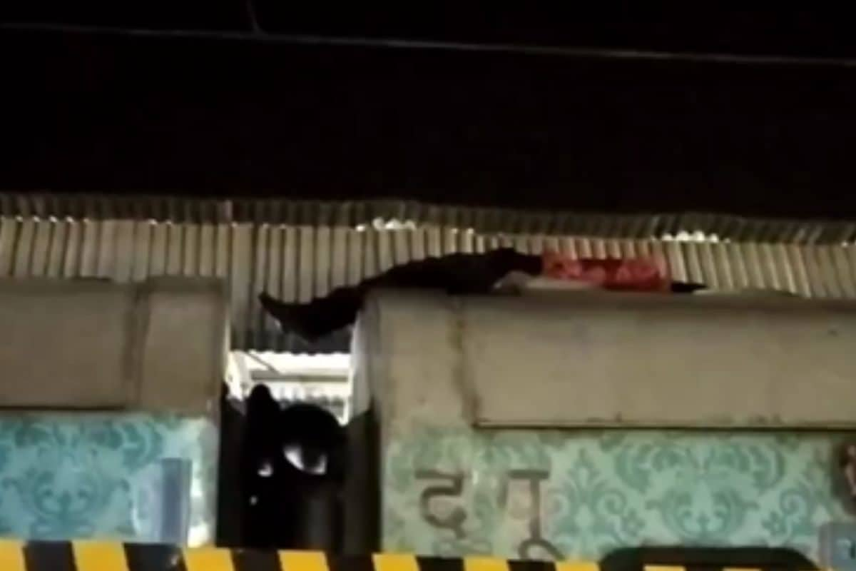 Man Risks Life To Travels On Roof of Express Train Running at 100 Km/h, Arrested | Video