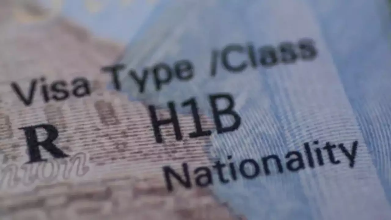 Explained: How more H-1B visa holders are switching jobs