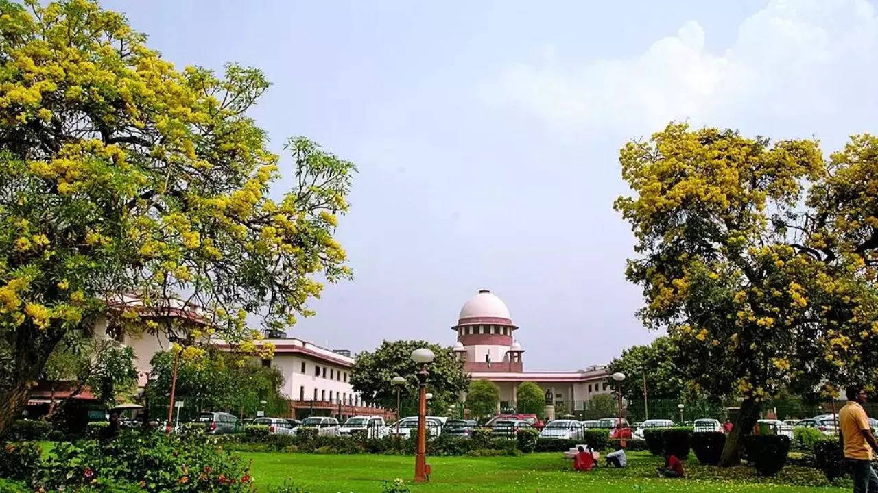 SC mulls whether 9-Judge bench can test Art 31 validity