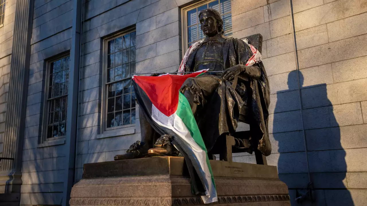 ‘Harvard protesters replace US flag with Palestinian one’