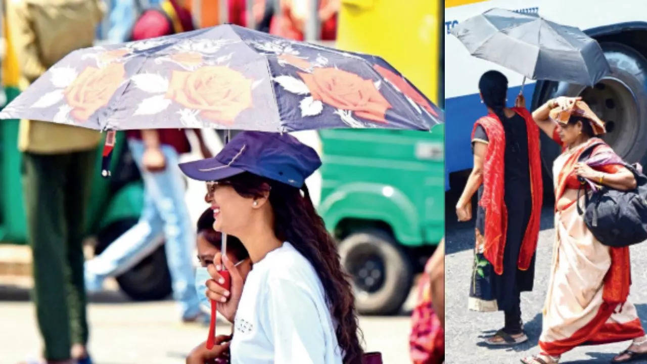 Black umbrellas may be your best bet under punishing sun: IMD