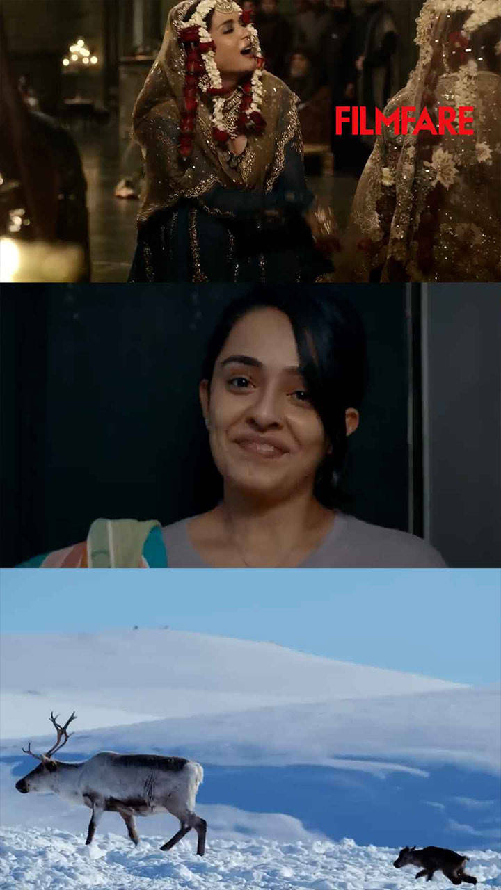 6 Latest OTT Web Series To Look Out For: Bridgerton 3 Heeramandi and more