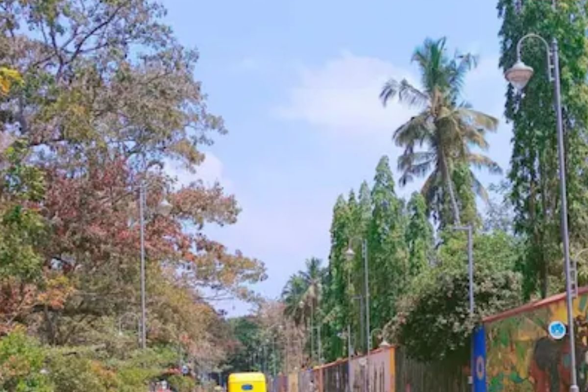 Why Kerala’s Manaveeyam Veedhi Road Is A Major Tourist Attraction
