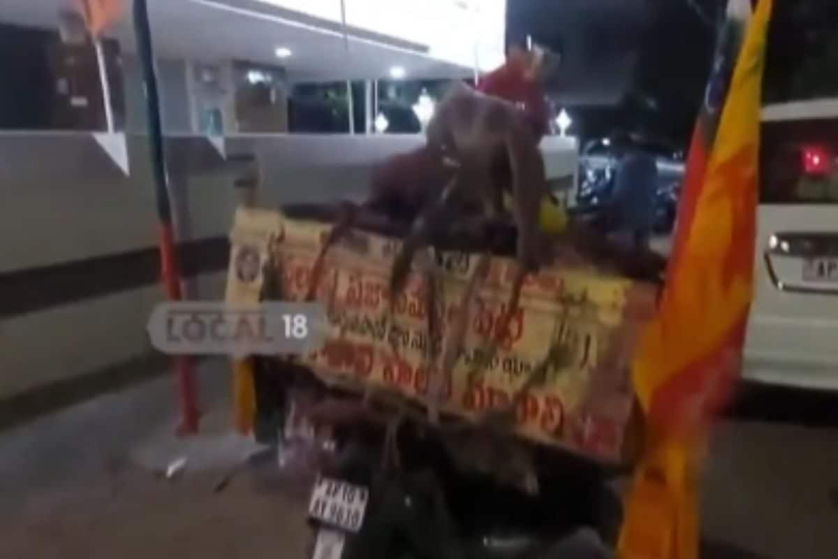 In Visakhapatnam, Man Campaigns For Lok Sabha Elections With Monkey On His Back