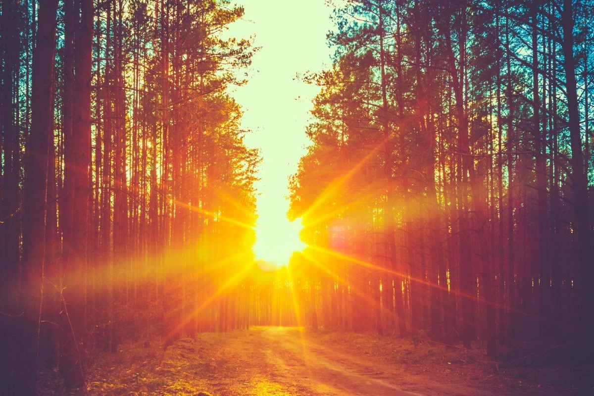 Aaj Ka Panchang, 10 May, 2024: Tithi, Vrat, and Today’s Shubh, Ashubh Muhurat Aaj Ka Panchang, 10 May, 2024: Tithi, Vrat, and Today’s Shubh, Ashubh Muhurat