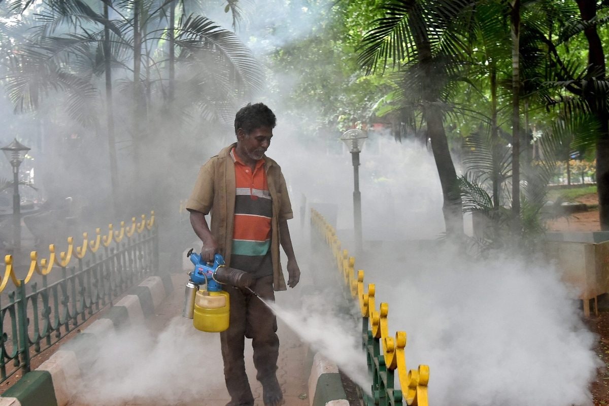 Dengue Cases Surge In Bengaluru: Civic Body Implements Measures, Doctors Offer Advice For Pregnant Women, Children Dengue Cases Surge In Bengaluru: Civic Body Implements Measures, Doctors Offer Advice For Pregnant Women, Children