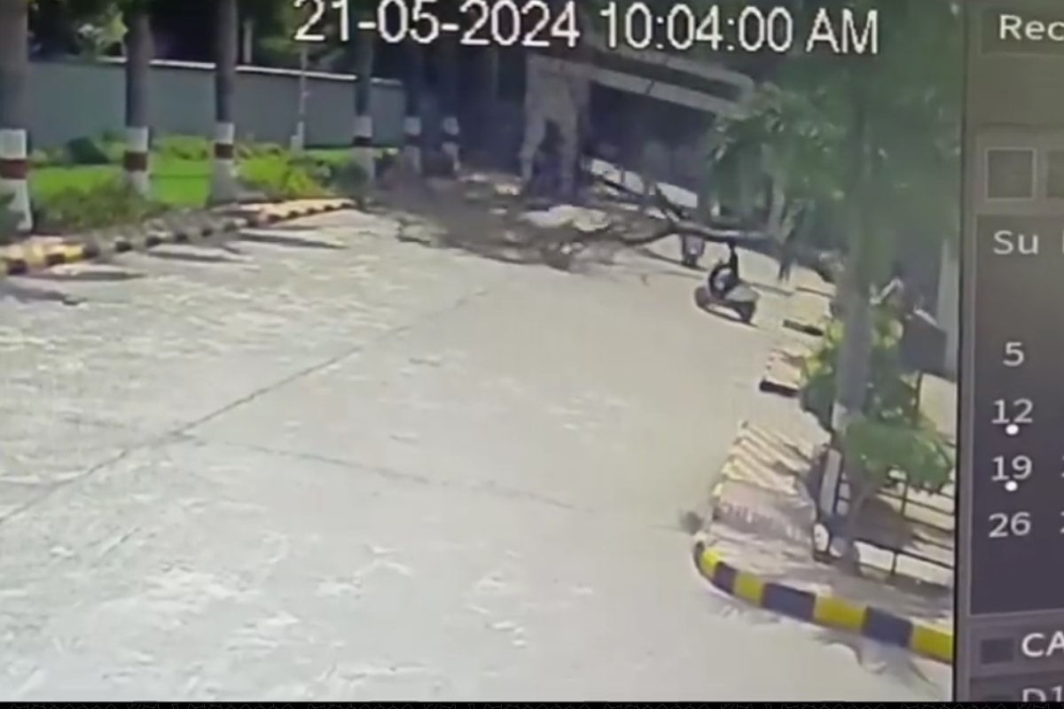 On Cam, Nearly-Uprooted Tree Falls on Bike-borne Couple in Hyderabad; Man Dies On Spot On Cam, Nearly-Uprooted Tree Falls on Bike-borne Couple in Hyderabad; Man Dies On Spot