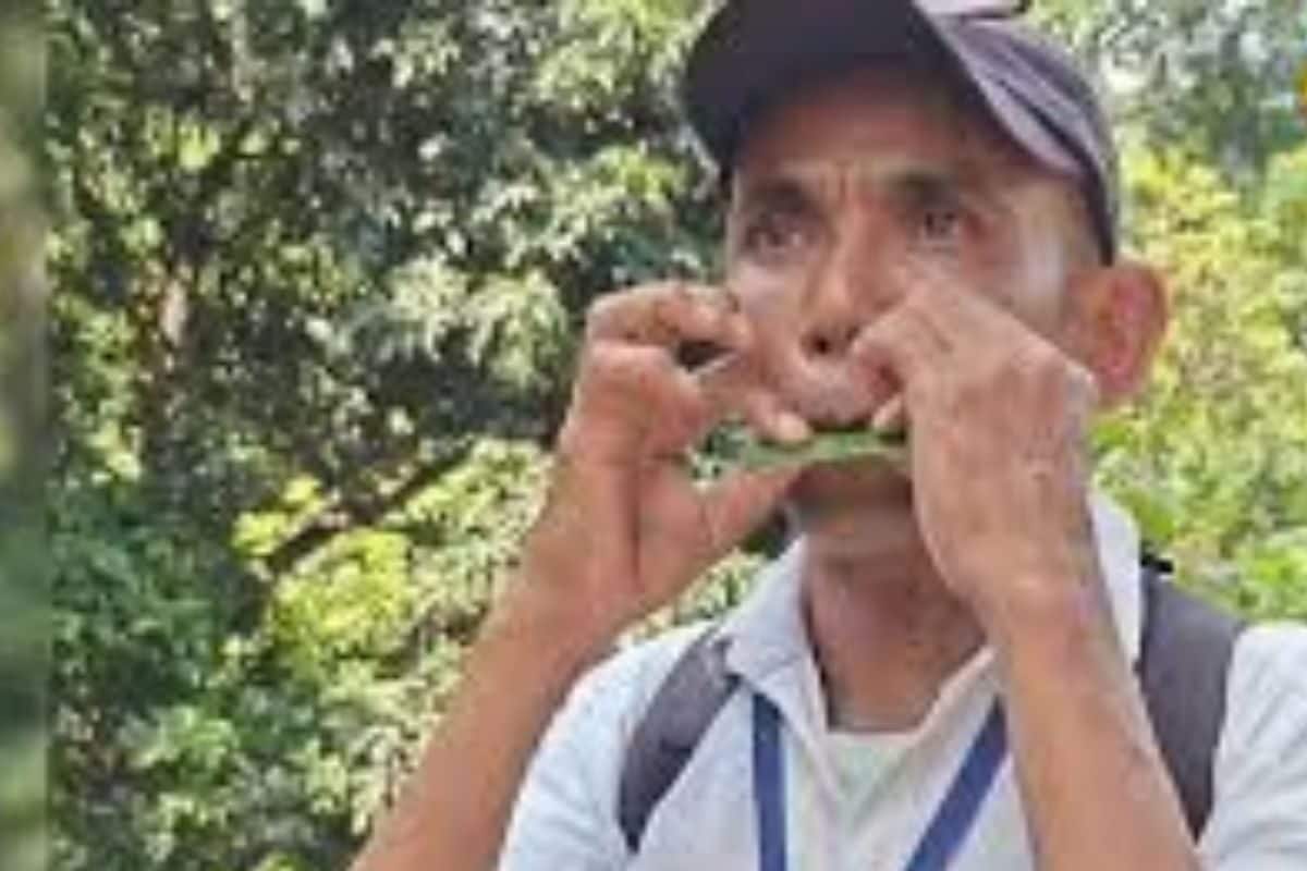 In West Bengal’s Buxa, Travel Guide Entertains Tourists Playing Flute Made Of Leaves