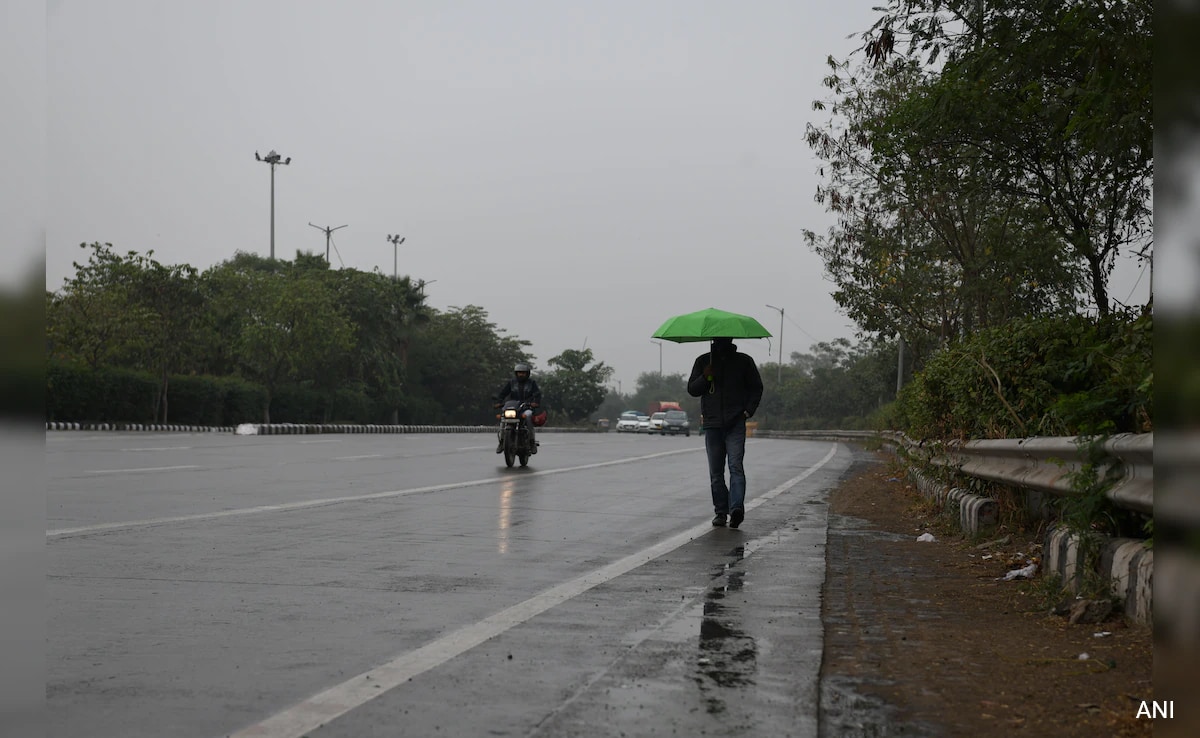 Hours After Delhi Burns At 52.3 Degrees, A Rain Cameo