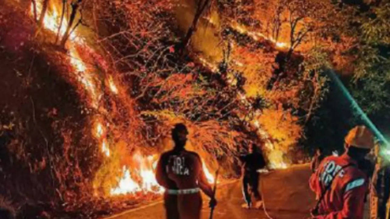 Wildfires in U’khand could trigger glacier melt: Scientists Wildfires in U’khand could trigger glacier melt: Scientists