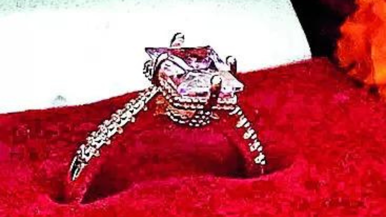 In Bhopal, lucky voters get ‘certified’ diamonds In Bhopal, lucky voters get ‘certified’ diamonds