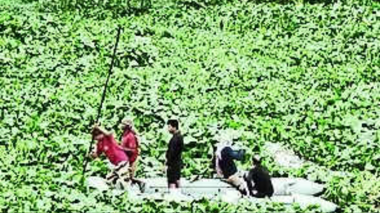 Bangladesh MP murder in Kolkata: ‘Suspect fled to US’