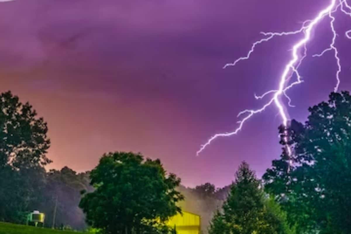 Three Killed in Lightning Strikes and Tree Collapse in Latur District