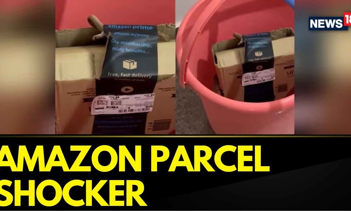 Bengaluru Amazon Parcel Snake News | Bengaluru Couple Finds Cobra In Amazon Package,Company Responds