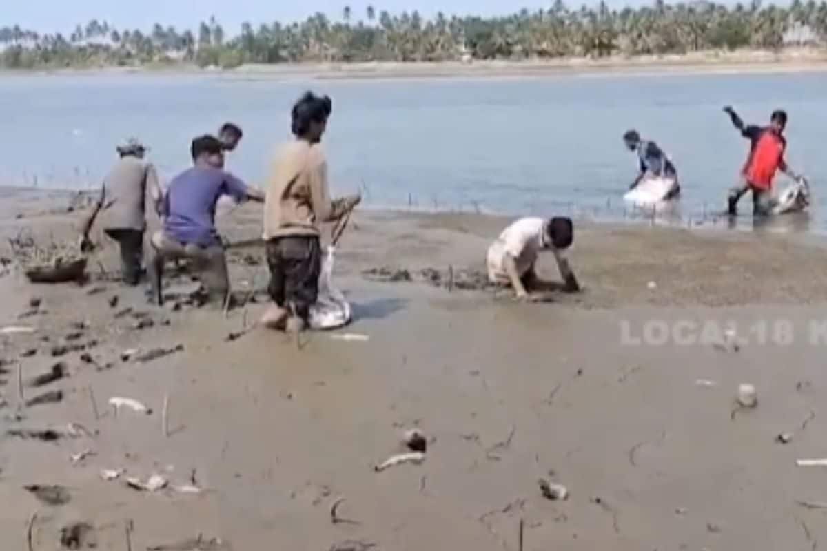 Environmentalists Launch Initiative To Revive Decaying Kandla Forest In Udupi