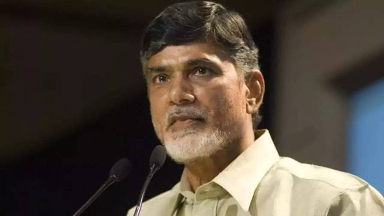 ‘We are in the NDA,’ TDP chief Chandrababu Naidu clears confusion