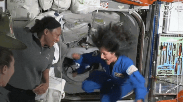 Watch: Sunita Williams dances after returning from Starliner mission