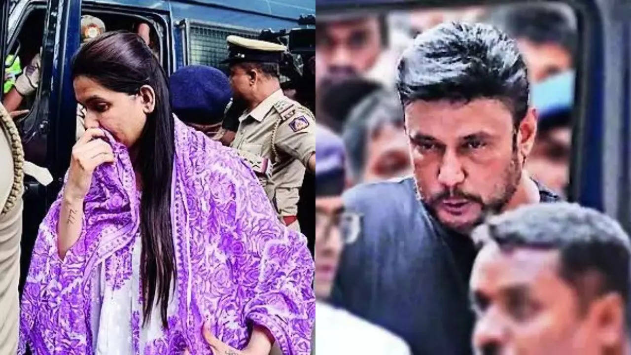 ‘Darshan’s girlfriend Pavithra Gowda first to attack Renukaswamy’