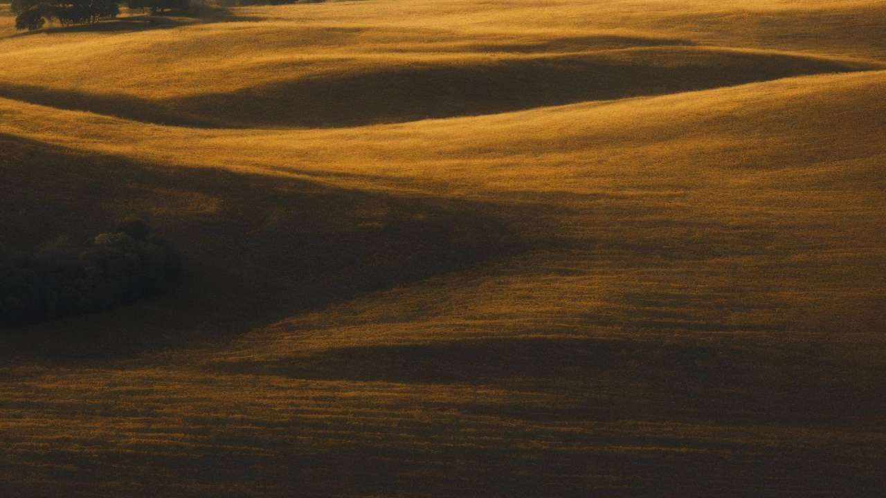 ‘Dumped like rubbish’: Indian man dies in Italy; MEA reacts