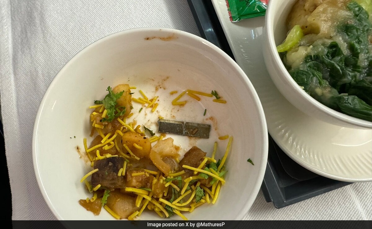 Air India Passenger Finds Blade In Flight Meal, Airline Responds