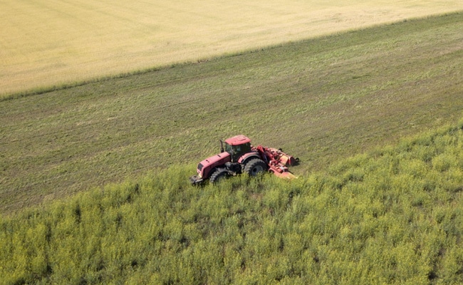 Indian Worker Left To Die On Side Of Road After Accident On Farm In Italy