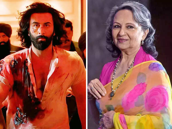 âœ One simply cannot rubbish it â – Sharmila Tagore slams the film Animal