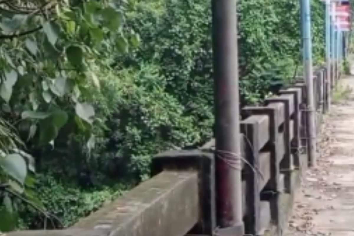 Why Kerala’s Poovanpara Bridge Has Become A Major Suicide Point