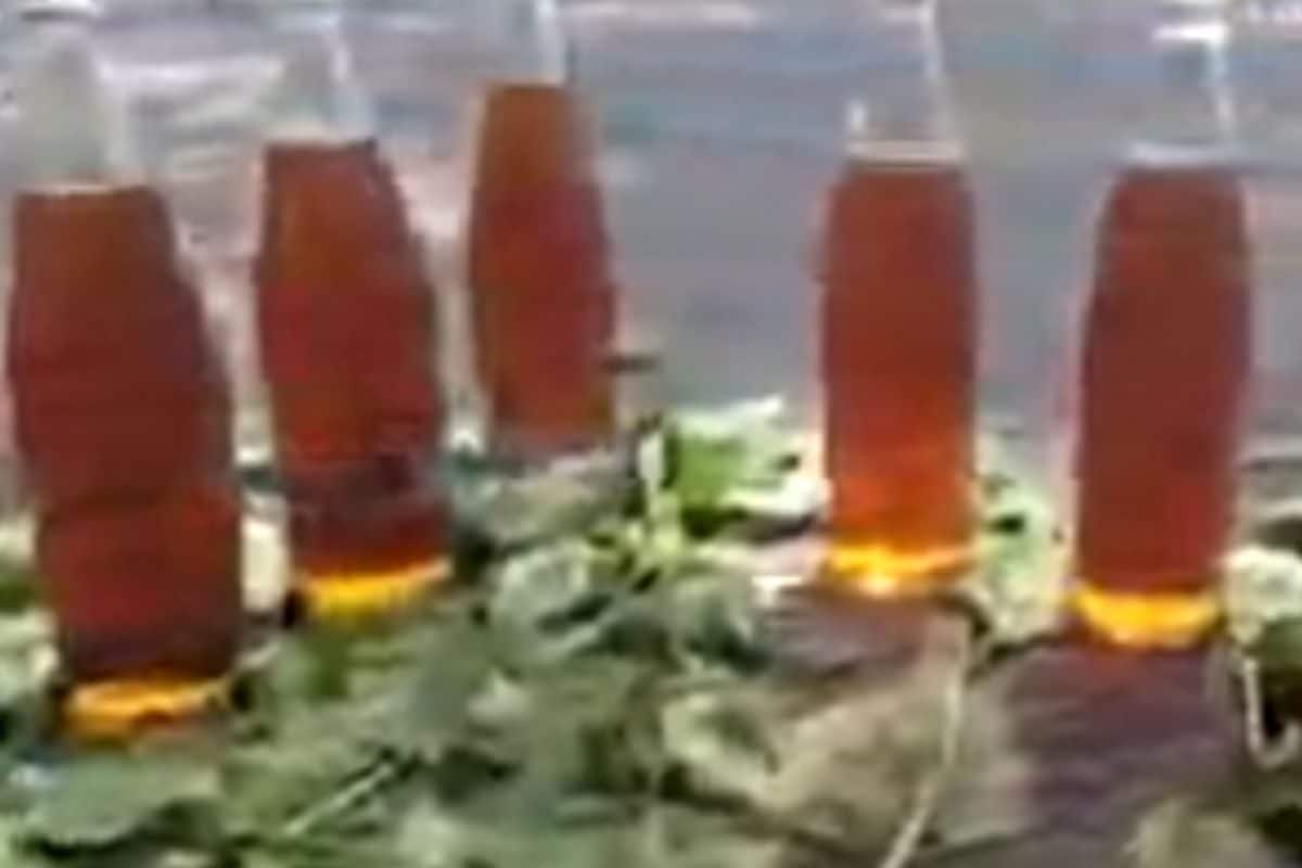 In Andhra’s Parvathipuram Manyam, Tribals Share Tips To Test Purity Of Honey